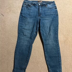 Judy Blue Skinny Fit Jeans Size 16W Medium Wash A4